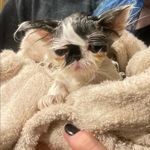 Meet your Poshers, anita and lilly